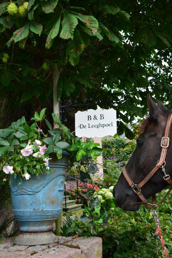 B&B De Leeghpoel Rumpt Dış mekan fotoğraf